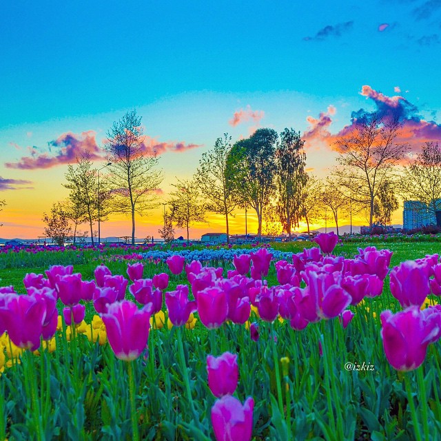 آزیتا ابراهیمی زندانی